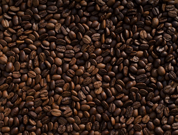 Grains de café arabica Bourbon torréfiés medium-light en gros plan, robe brun-dorée, Kenya Nyeri