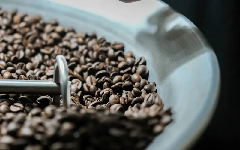 Labels café durables — Fair Trade, Rainforest Alliance, UTZ et Bird Friendly