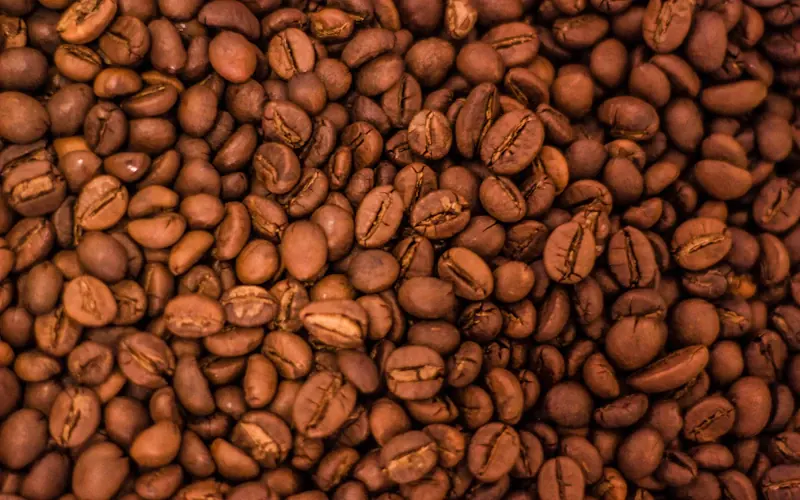 Cupping maison — protocole SCA simplifié pour évaluer un café